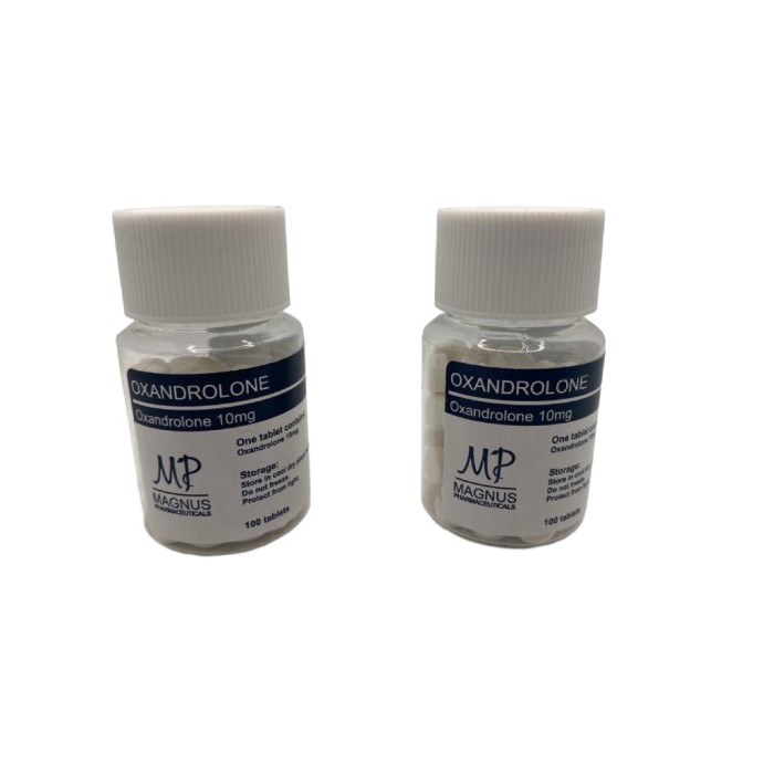 Оксандролон Магнус Топ 10 мг (Oxandrolon 10 mg Magnus Top)