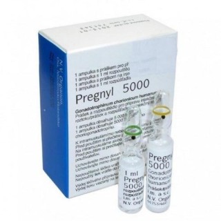 Прегнил МСД 5000 МЕ (Pregnyl 5000 IU MSD)