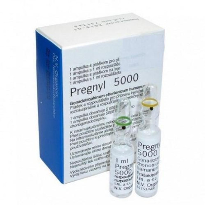 Прегнил МСД 5000 МЕ (Pregnyl 5000 IU MSD)
