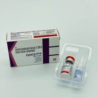 Гонадотропин хорионический инъекция ZyhCg 2000 МЕ (Chorionic Gonadotropin Injection I.P. ZyhCg)