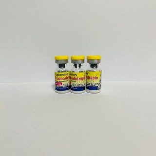Гонадотропин СП Лабс (Gonadotropin SP Laboratories)