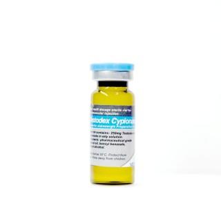 Тестодекс Ципіонат Сайрокс 10 мл по 250 мг (Testodex Cypionate Sciroxx)