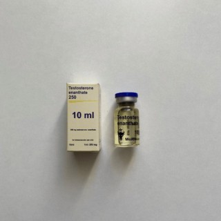 Тестостерон Енантат Молдавіан фарма 10 мл по 250 мг (Testosteron Enanthate Moldavian Pharma)