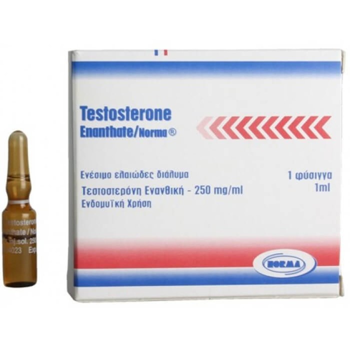 Тестостерон енантат Норма Хеллас 1 мл/250 мг (Testosterone Enanthate Norma Hellas 250 mg)