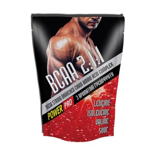 Power Pro BCAA 2:1:1 (500 г, фруктовий пунш)