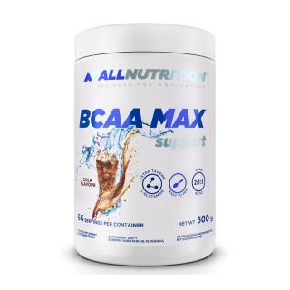BCAA Max Support - 500 г апельсина