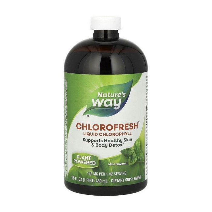 Nature's Way Chlorofresh Liquid Chlorophyll (480 ml, mint)