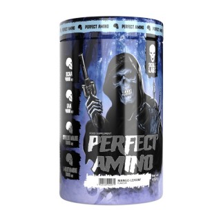 Skull Labs Perfect Amino (450 г, лічі)