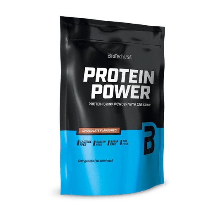 BioTech Protein Power (500 g, vanilla)