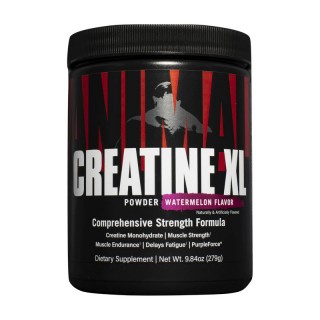 Universal Creatine XL (279 г, фруктовый пунш)