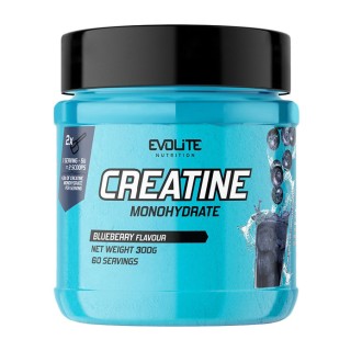 Evolite Nutrition Креатин Моногидрат (300 г, черника)