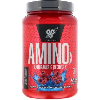 Аминокислота BCAA BSN Amino X, 1.01 кг Ежевика