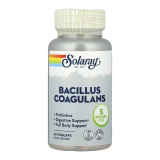 Bacillus Coagulans 5 Billion CFU - 60 vcaps