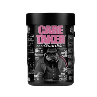 Амінокислота Zoomad Labs Caretaker BCAA, 480 грам Полуничний крем