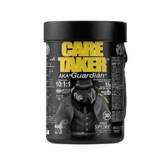 Амінокислота Zoomad Labs Caretaker BCAA, 480 грам Лимон