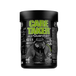 Амінокислота Zoomad Labs Caretaker BCAA, 480 грам Тропік