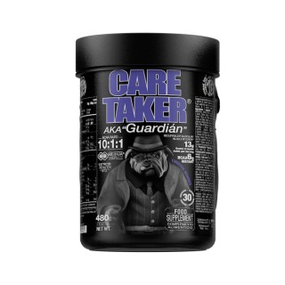 Амінокислота Zoomad Labs Caretaker BCAA, 480 грам Ягоди