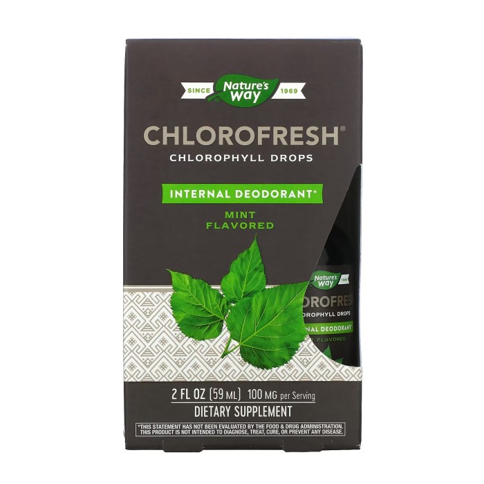 Рідкий засіб Chlorofresh® Mint 40X - 59 мл