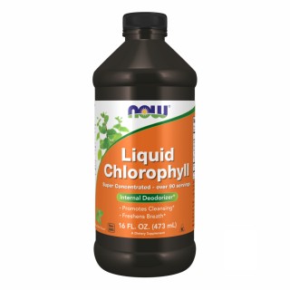 Chlorophyll Liquid Mint - 16 oz (Без этикетки)