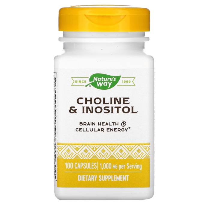 Вітаміни та мінерали Nature's Way Choline & Inositol, 100 капсул