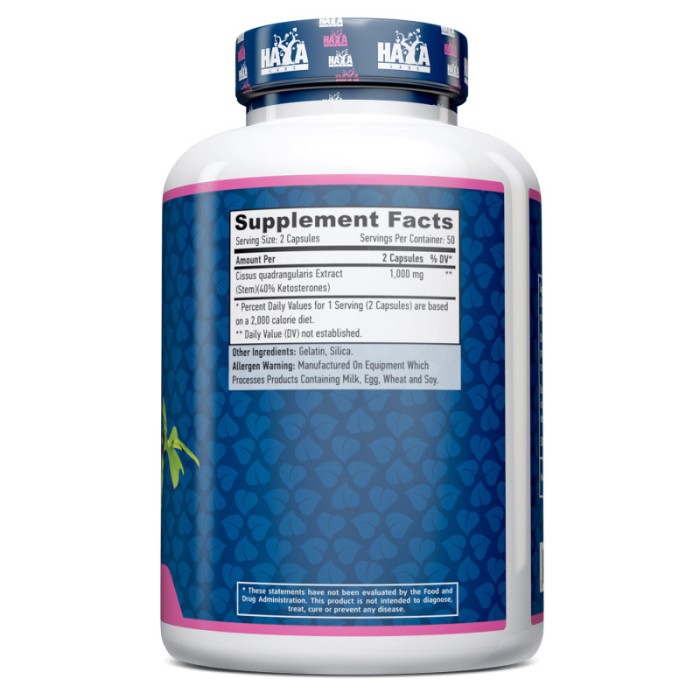 Натуральна добавка Haya Labs Cissus 500 mg, 100 капсул