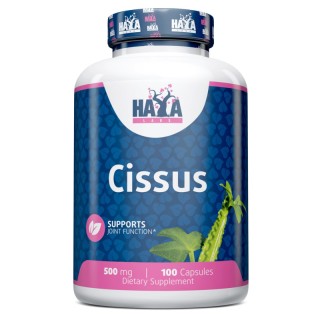 Естественная добавка Haya Labs Cissus 500 mg, 100 капсул