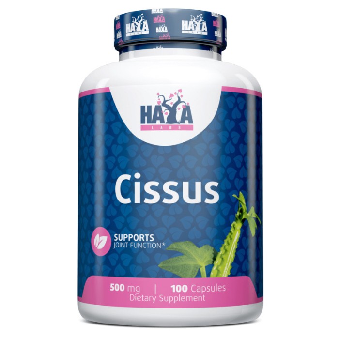 Натуральна добавка Haya Labs Cissus 500 mg, 100 капсул