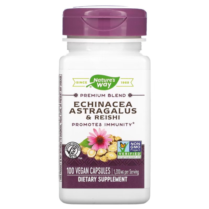 Натуральная добавка Nature's Way Echinacea Astragalus and Reishi, 100 вегакапсул
