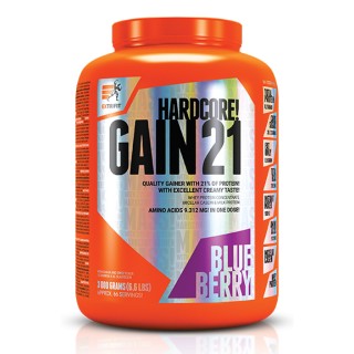 Hardcore Gain21 - 3000 г чорниці