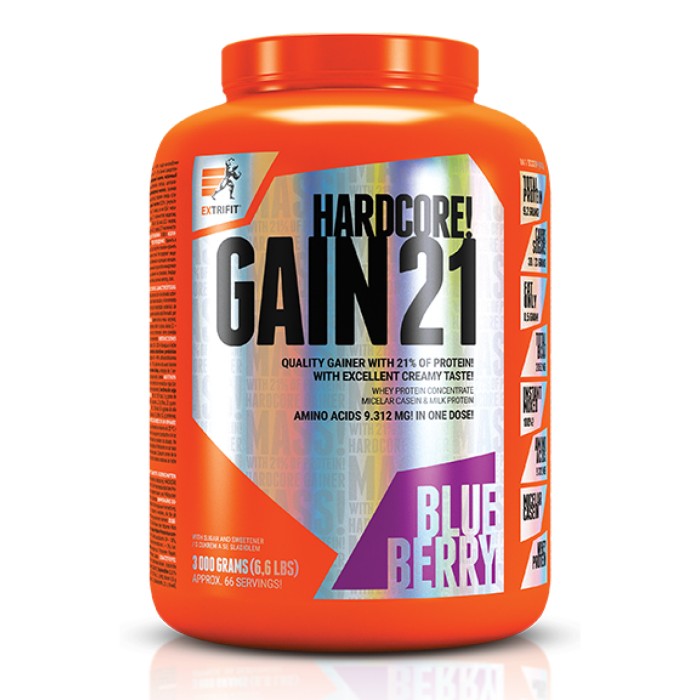 Hardcore Gain21 - 3000 г чорниці