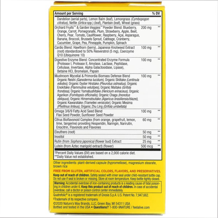 Max6 (із залізом) - 90 капсул