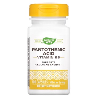 Вітаміни та мінерали Nature's Way Pantothenic Acid, 100 капсул