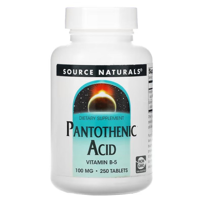 Вітаміни та мінерали Source Naturals Pantothenic Acid 100 mg, 250 таблеток
