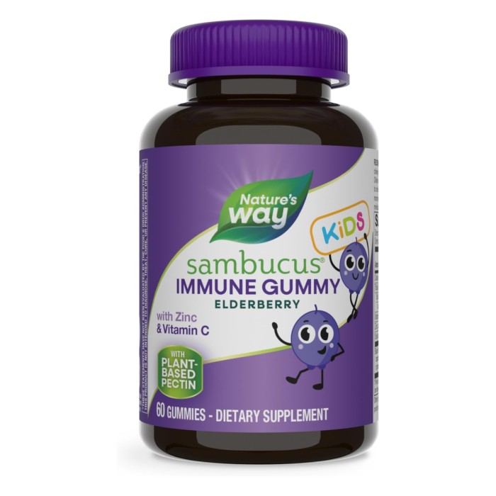 Sambucus Kids Immune Support - 60 жевательных конфет