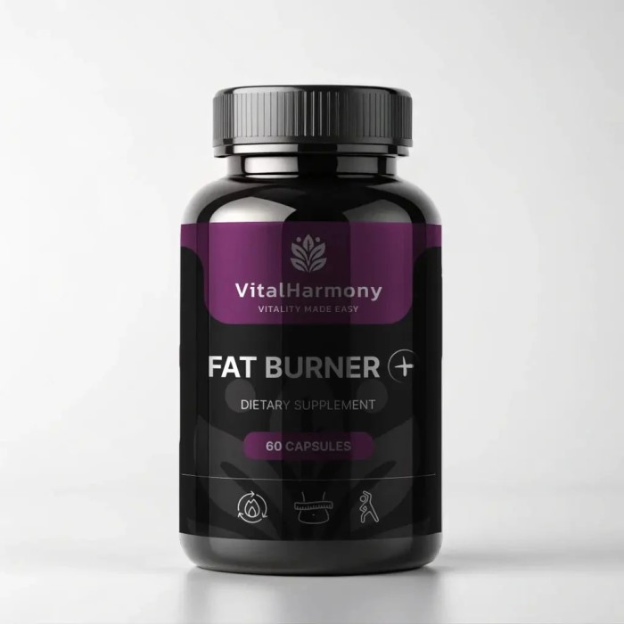 Жиросжигатель VitalHarmony Fat Burner Plus, 60 капсул